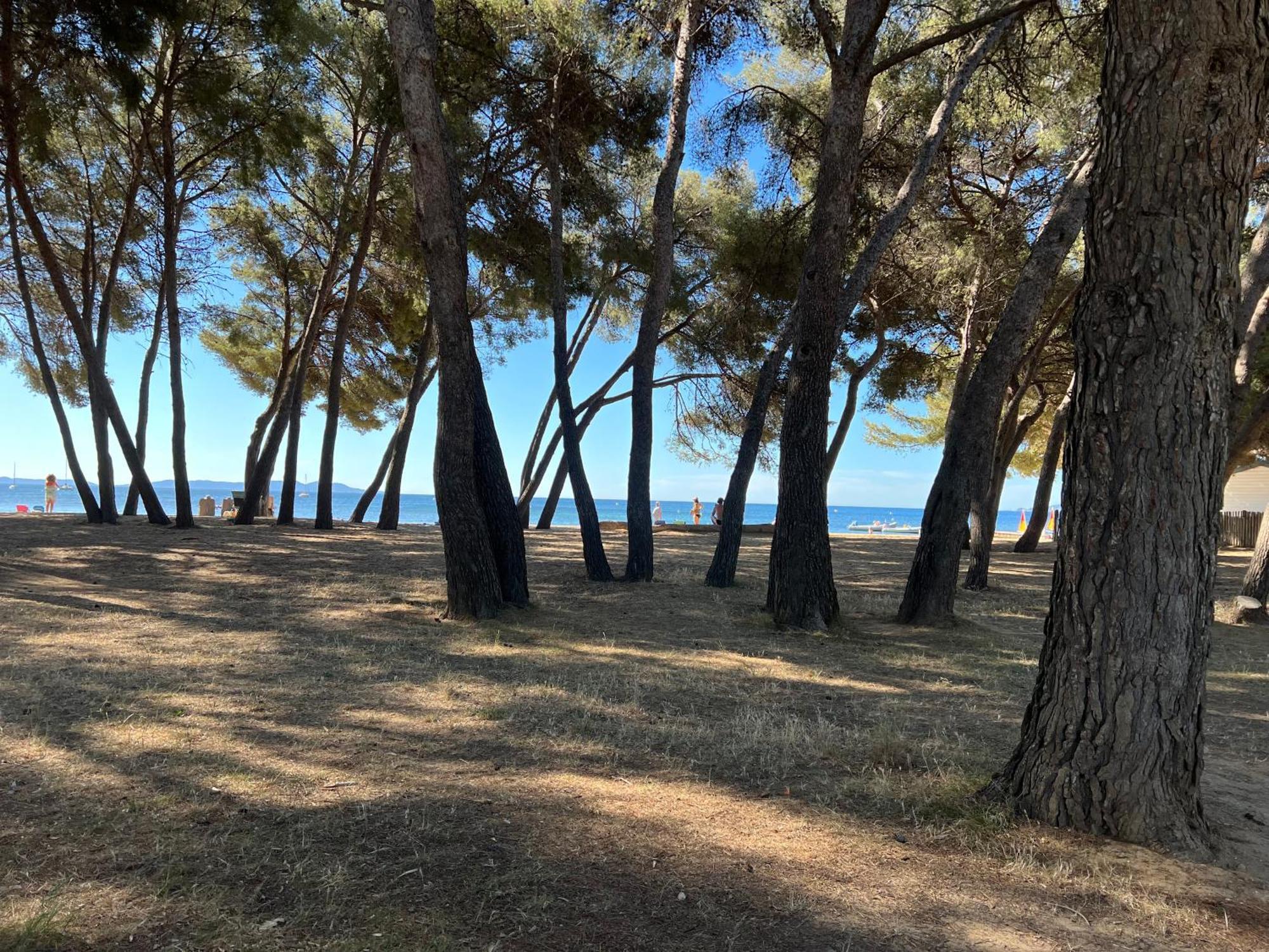 Joli Studio Tres Clair A Proximite Mer Pour 3 Personnes La Londe-les-Maures Exterior foto